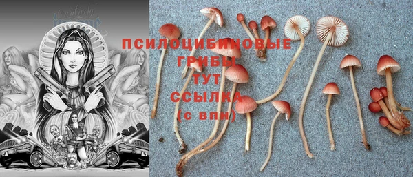 твердый Переславль-Залесский